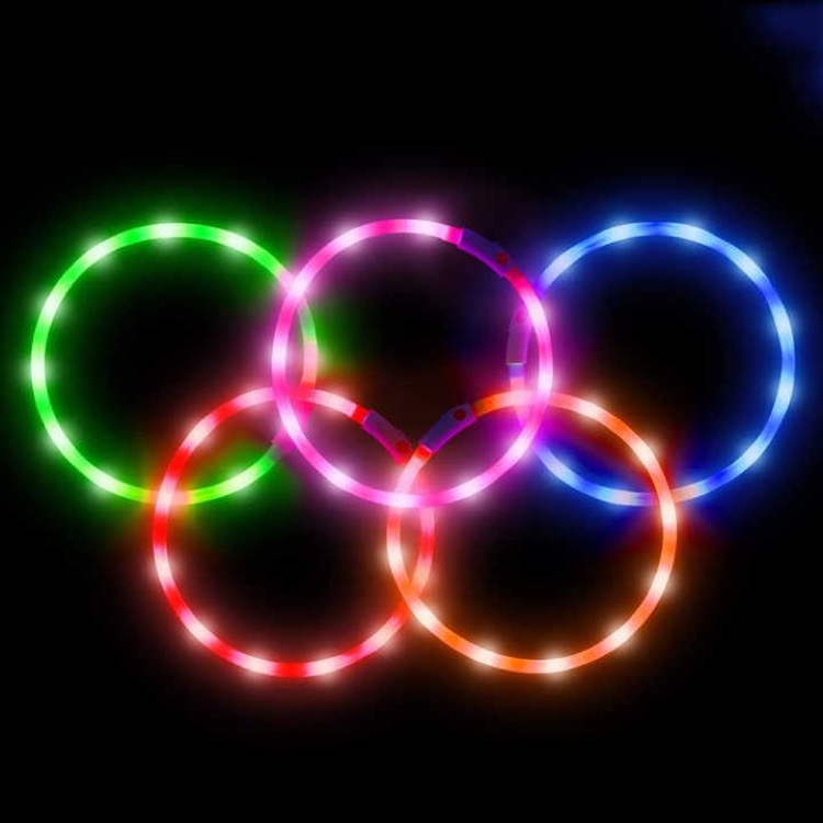 Led Dog Collar 4