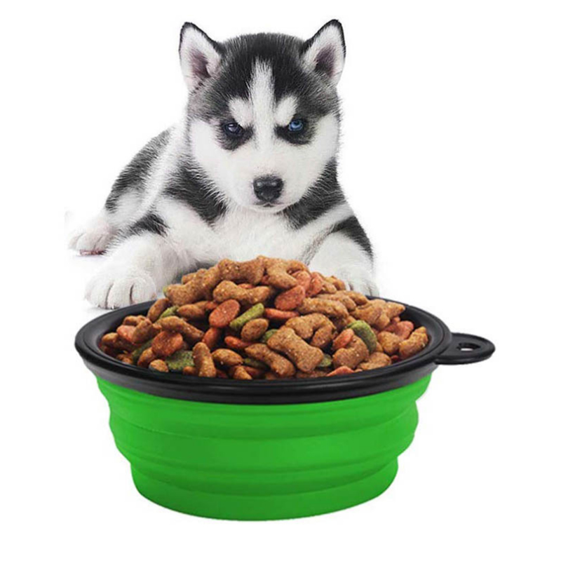 Collapsible Pet Bowl