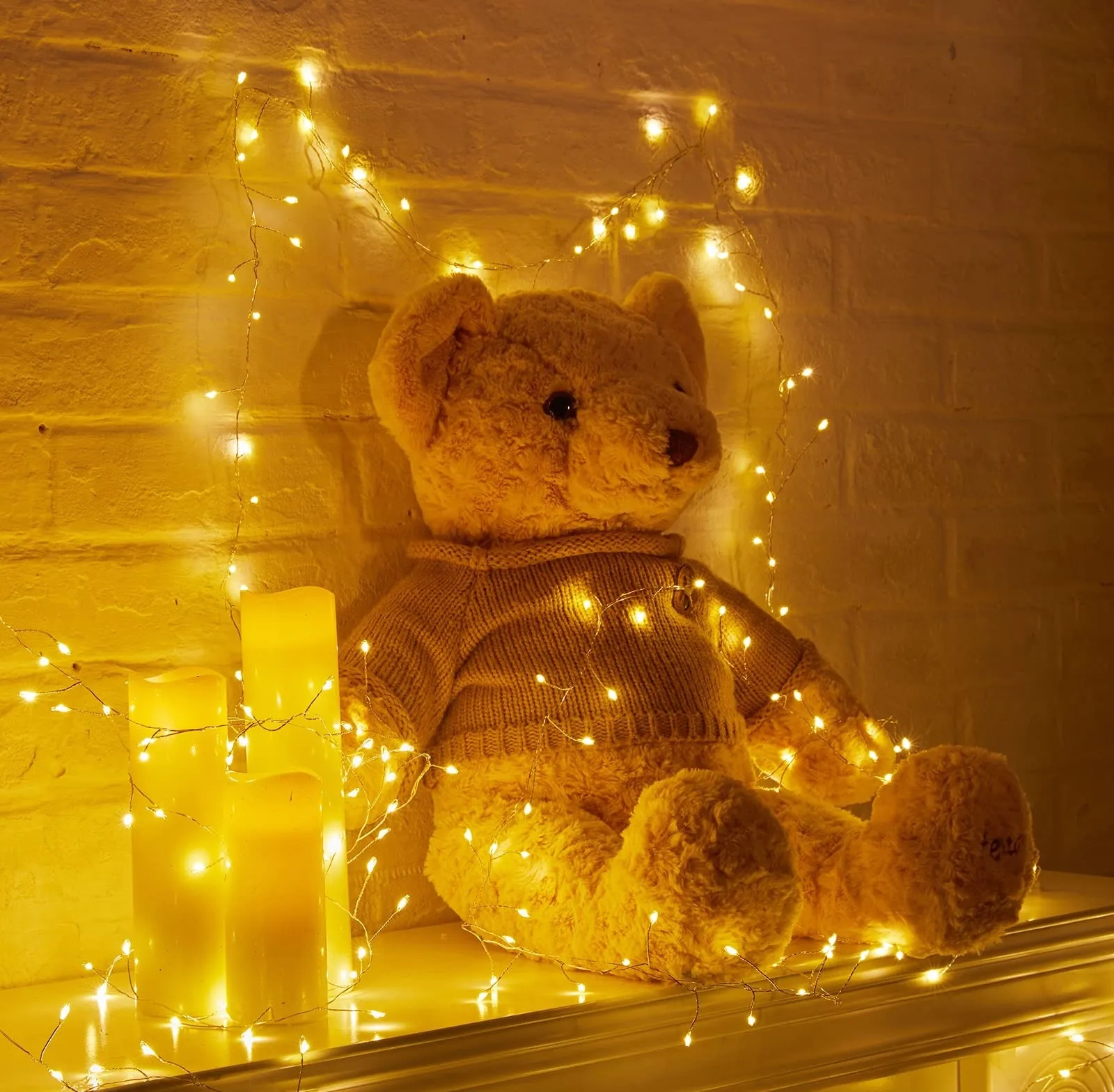LED Battery Operated String  Copper Wire Light for Outdoor 5