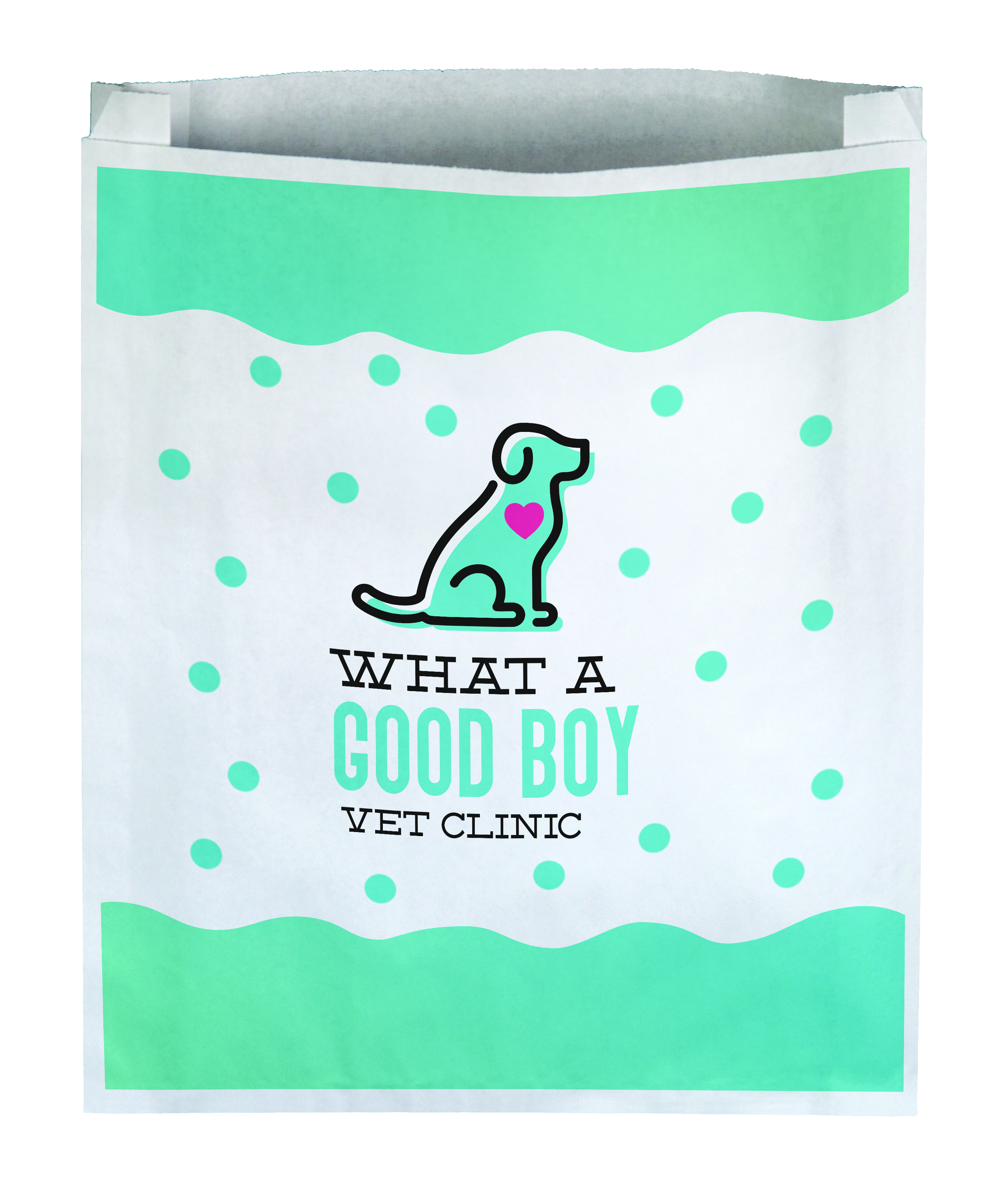 Full Color 1-Sided Large Merchant Paper Bag (12" x 15" x 2.5")