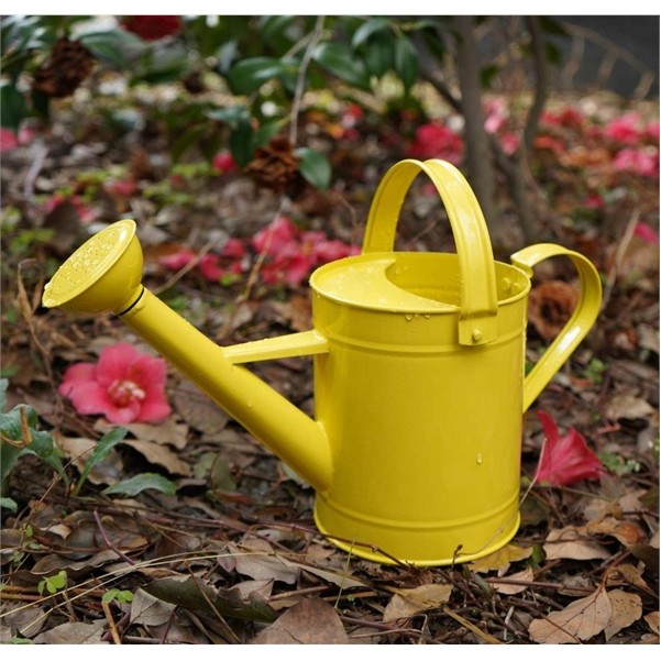 50Oz metal watering cans 4