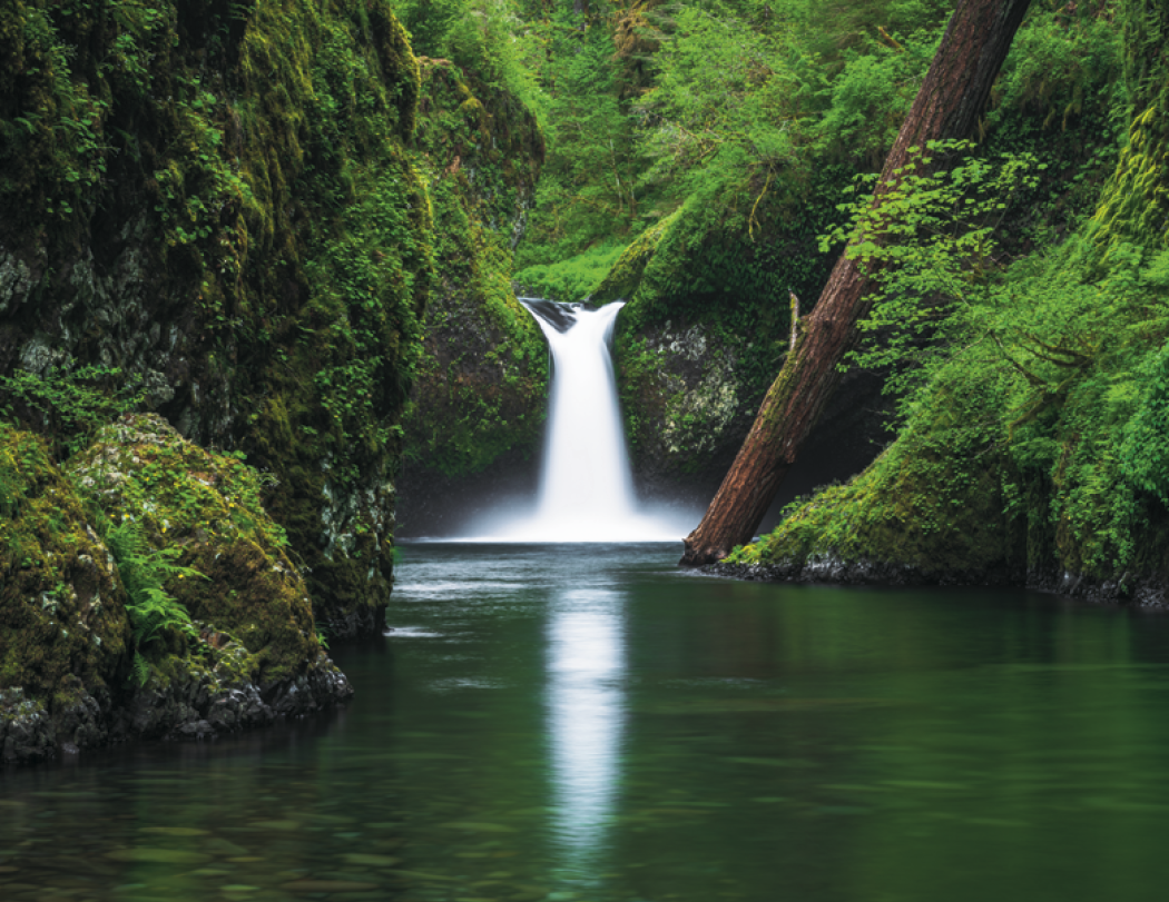 Triumph® Calendars Scenic Inspirations Calendar 63