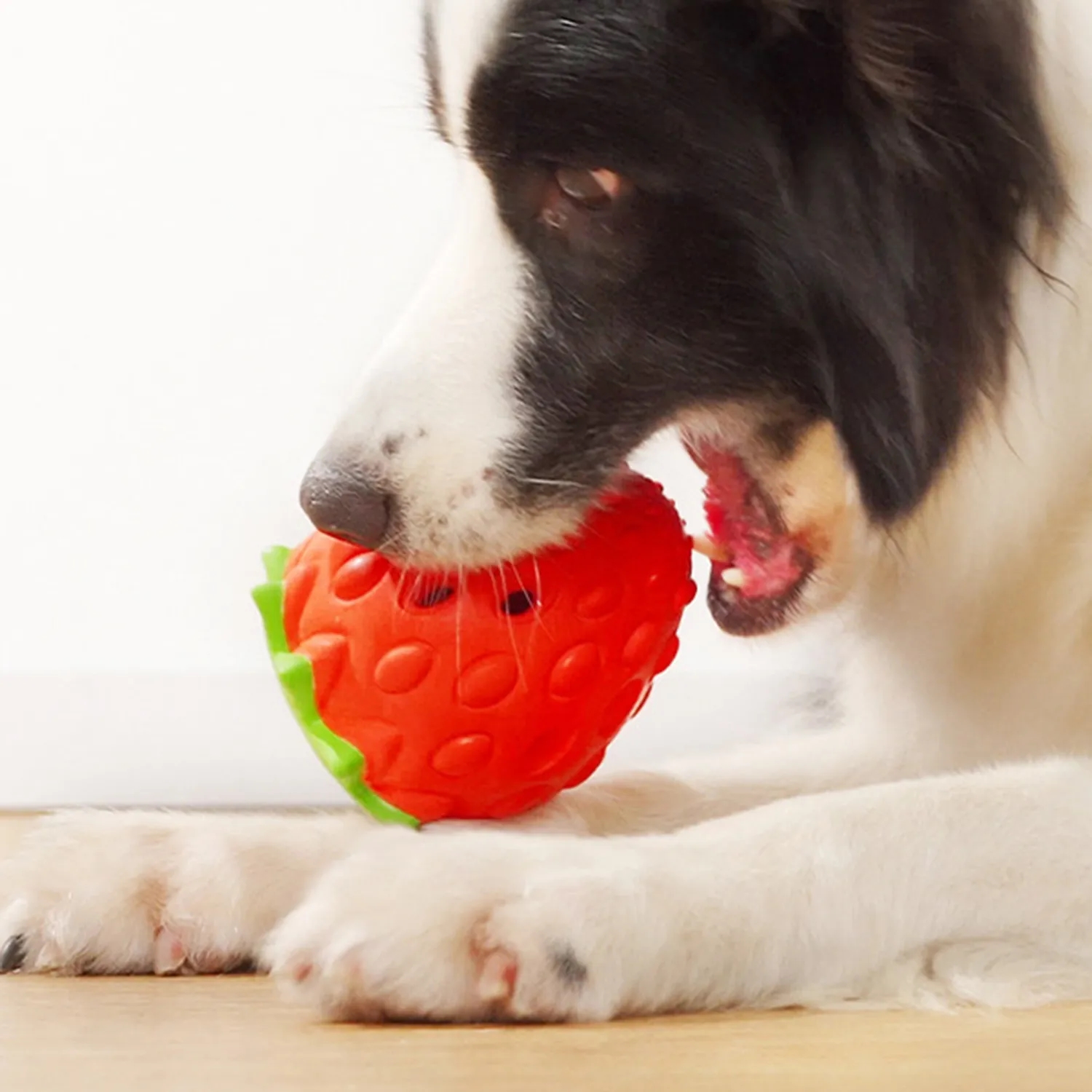 Fun Pet Teeth Cleaning Chew Rubber Toy 5