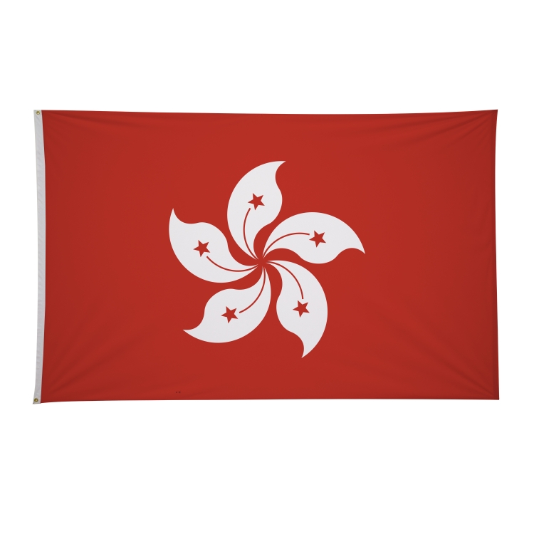 5' x 8' International Flags 89