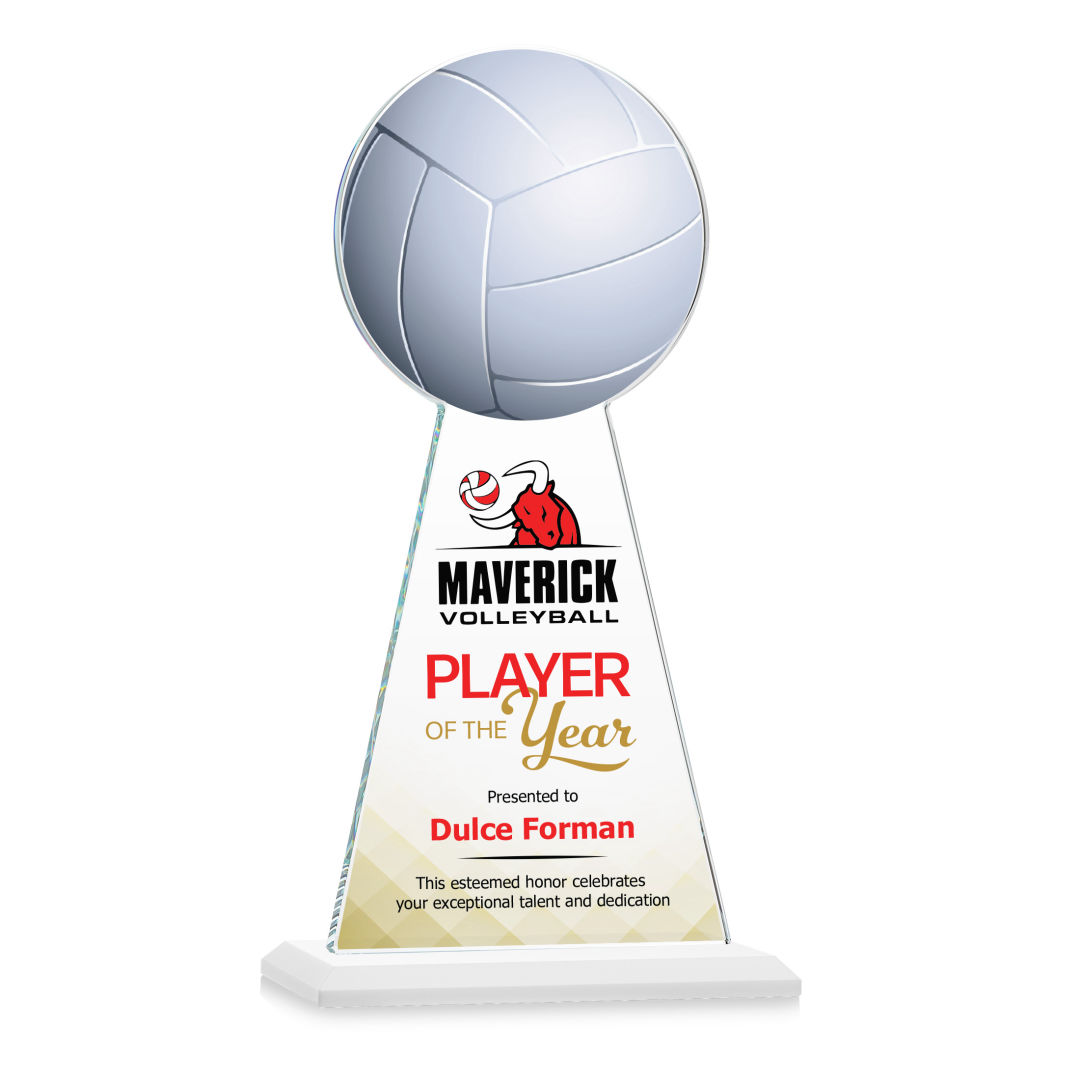 Edenwood Volleyball VividPrint™ Award - White 7