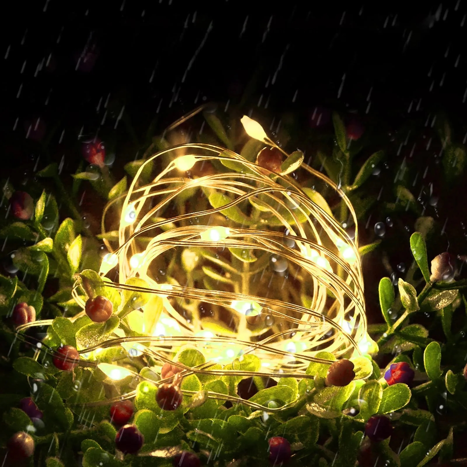LED Battery Operated String  Copper Wire Light for Outdoor 6