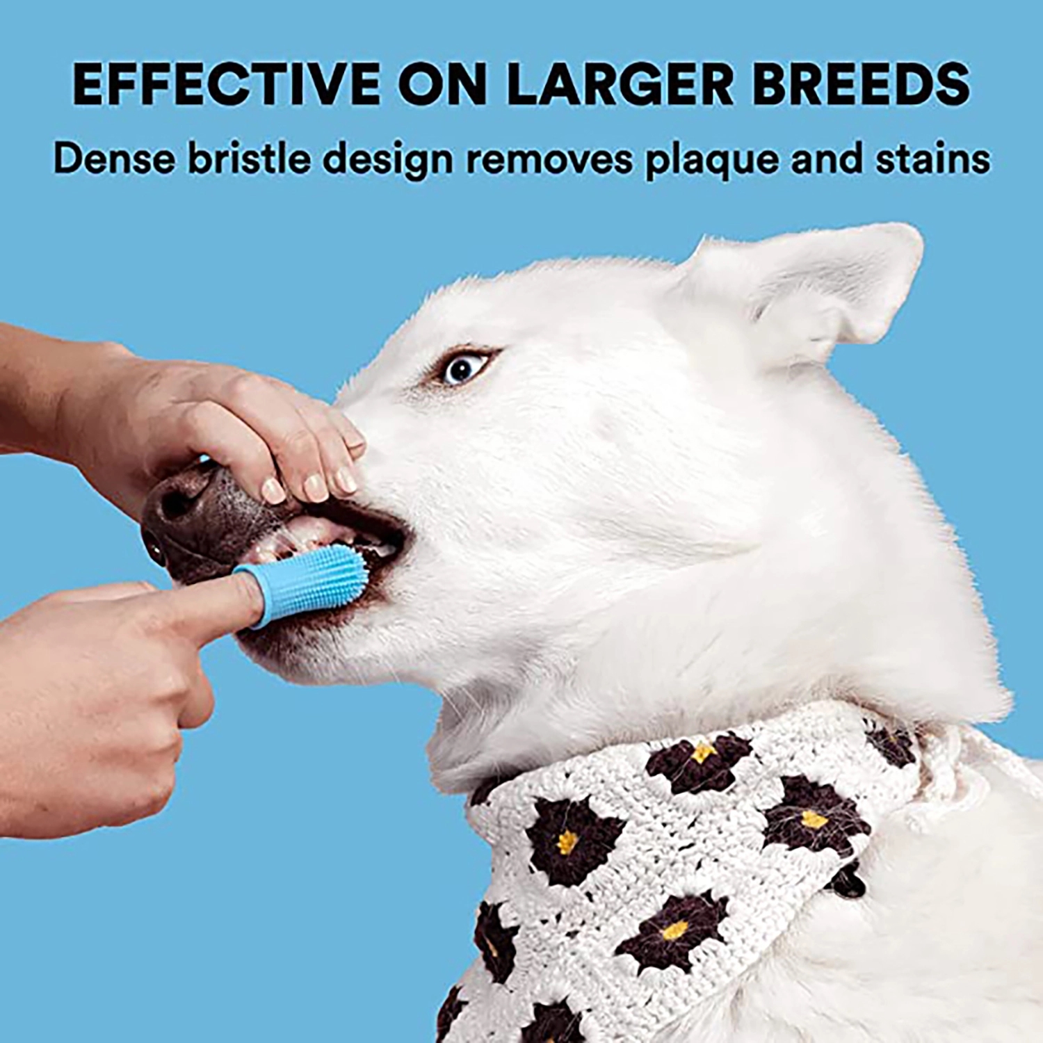 Silicone Pet Toothbrush 4