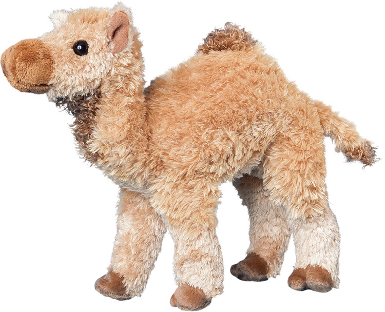 Lawrence Camel 2
