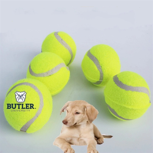 Pet Training Tennis Ball 3