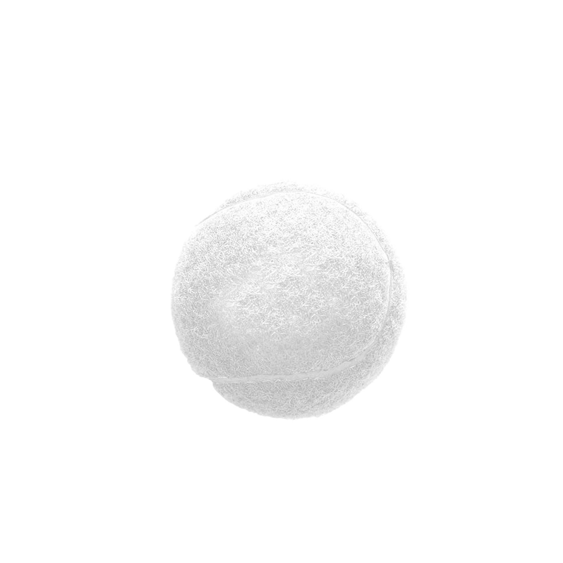 Pet Tennis Ball 3