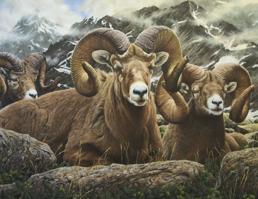 Good Value™ Wildlife Canvas - Stapled Calendar 18