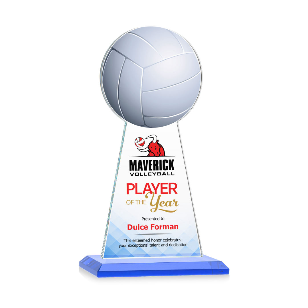 Edenwood Volleyball VividPrint™ Award - Sky Blue 9