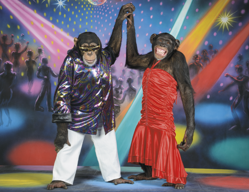 Good Value™ Monkey Mischief - Stapled Calendar 18