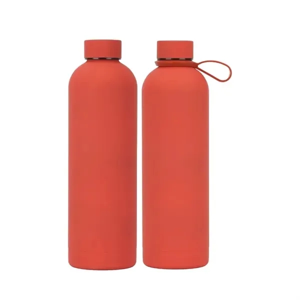 Stainless Steel Water Bottle with Insulated 17 oz 11
