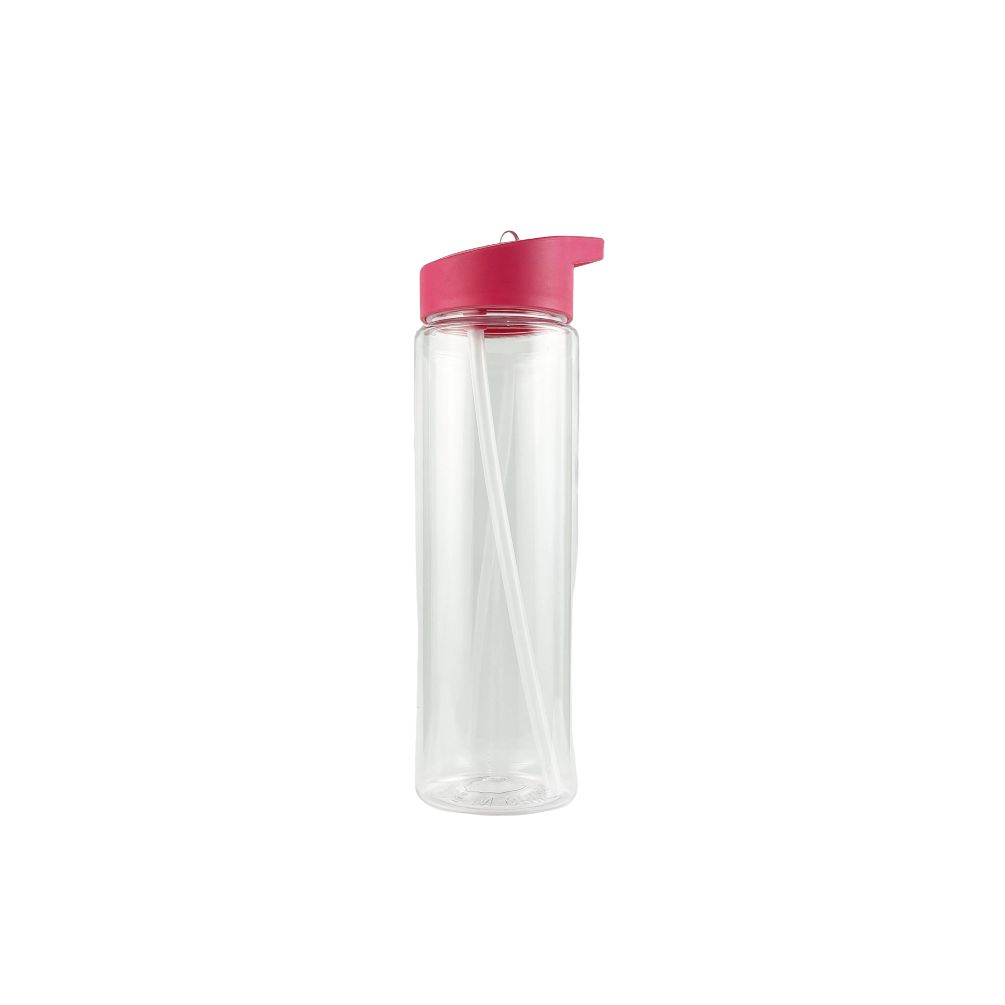 Twenty Four Ounce Outdoor Sippy Cup With Straw 11