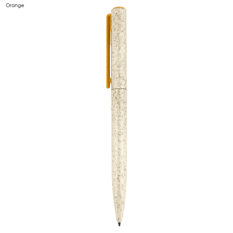 Zara Eco Pen 1