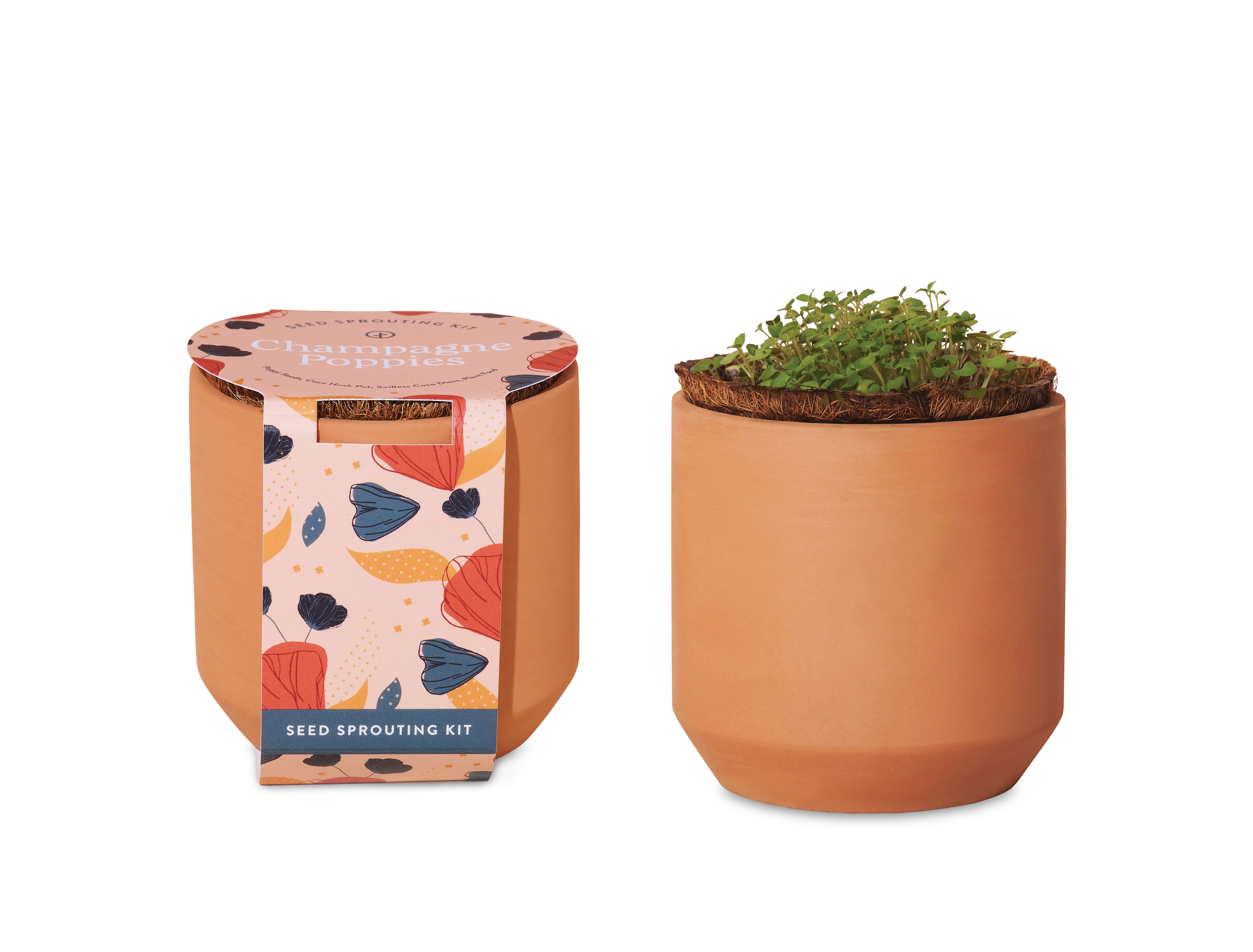 Modern Sprout® Tiny Terracotta Grow Kit Champagne Poppies