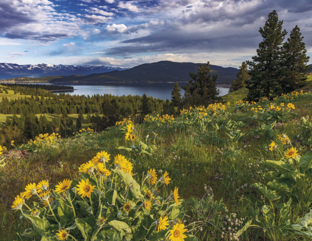 HotLine® Products Contemplations Appointment Calendar - Spiral 13