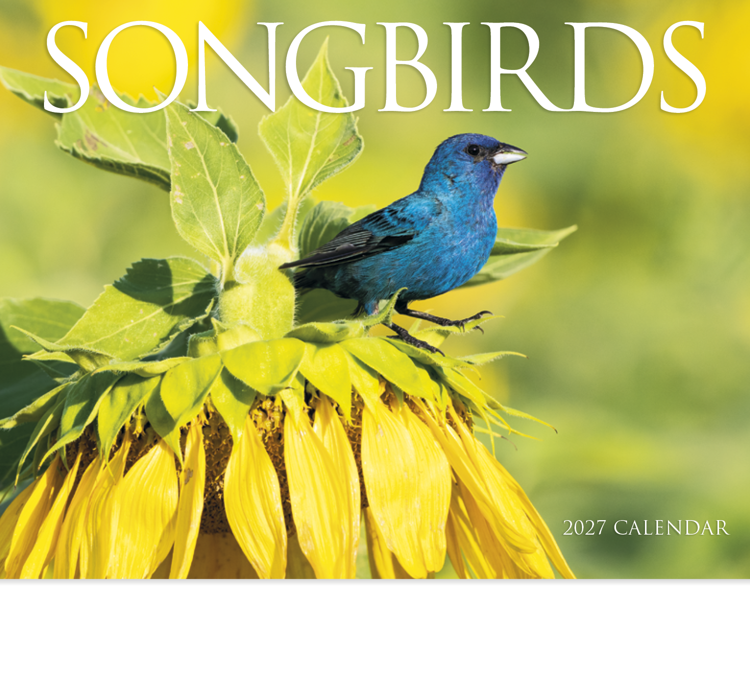 HotLine® Products Songbirds Appointment Calendar - Stapled 57