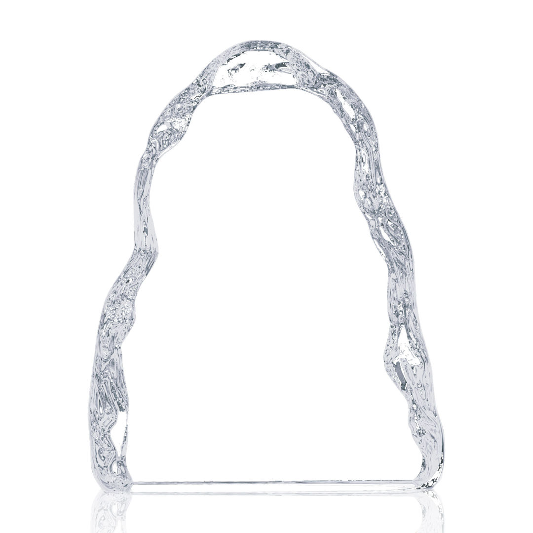 Carling Iceberg VividPrint™ Award