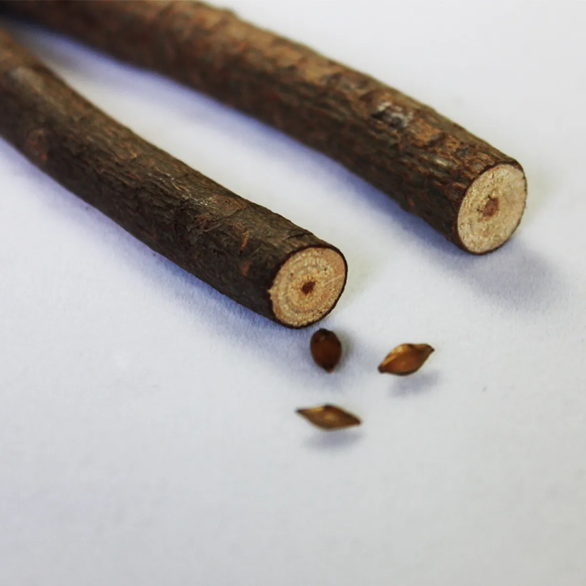 Disposable Creative Original Ecological Wooden Ballpoint Pen 3