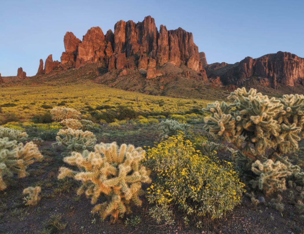 HotLine® Products Catholic Reflections Appointment Calendar - Stapled 64