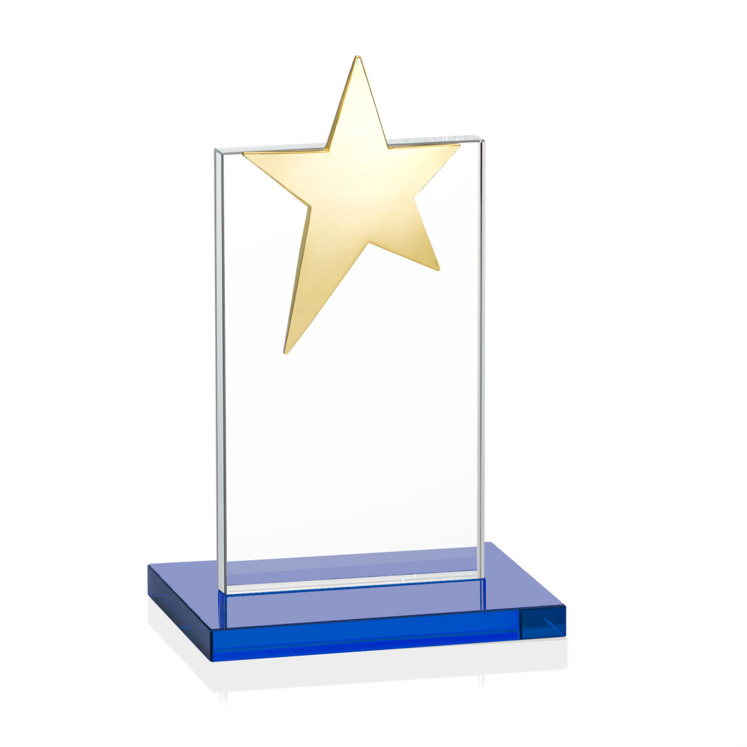 Bryanston Gold Star VividPrint™ Award - Sky Blue 6