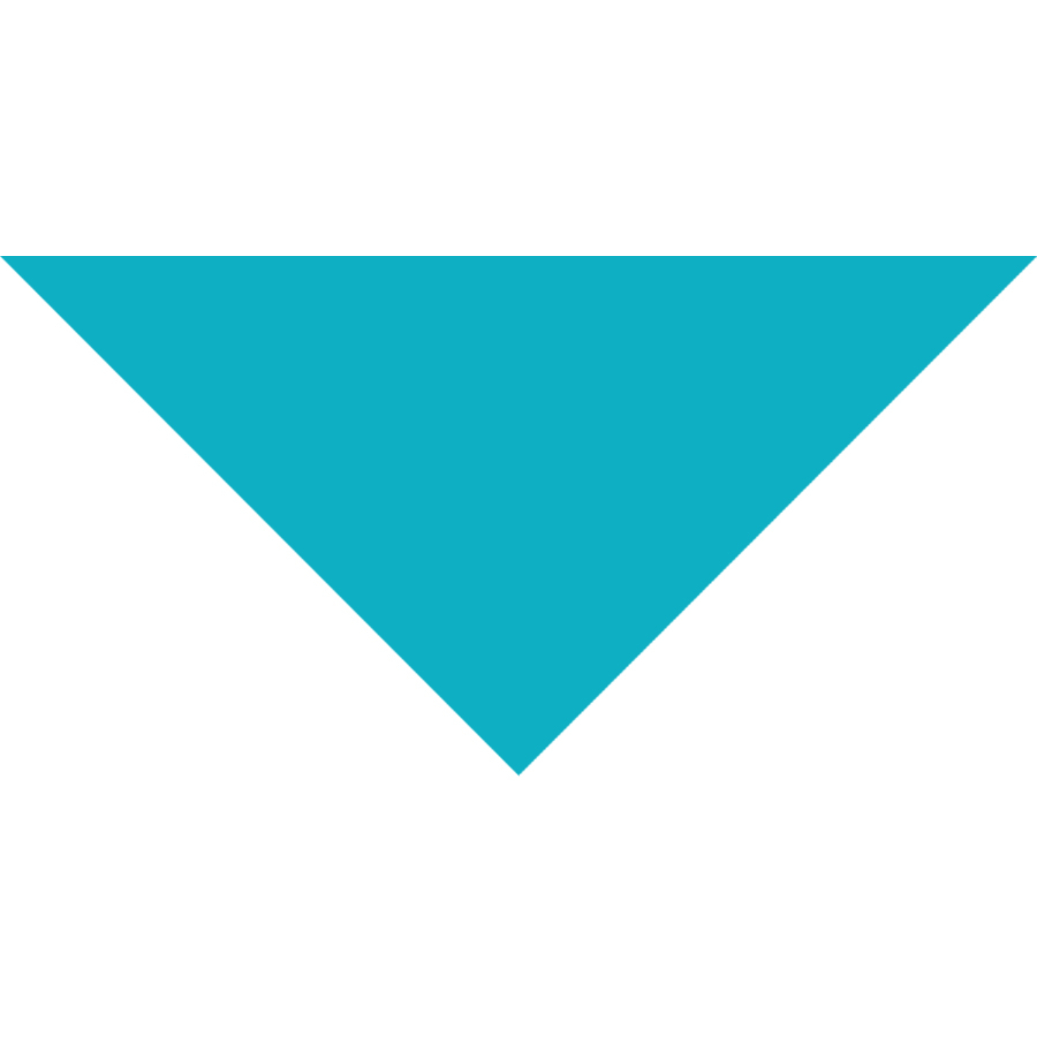 Small Triangle Pet Bandana w/ Screen Print 6