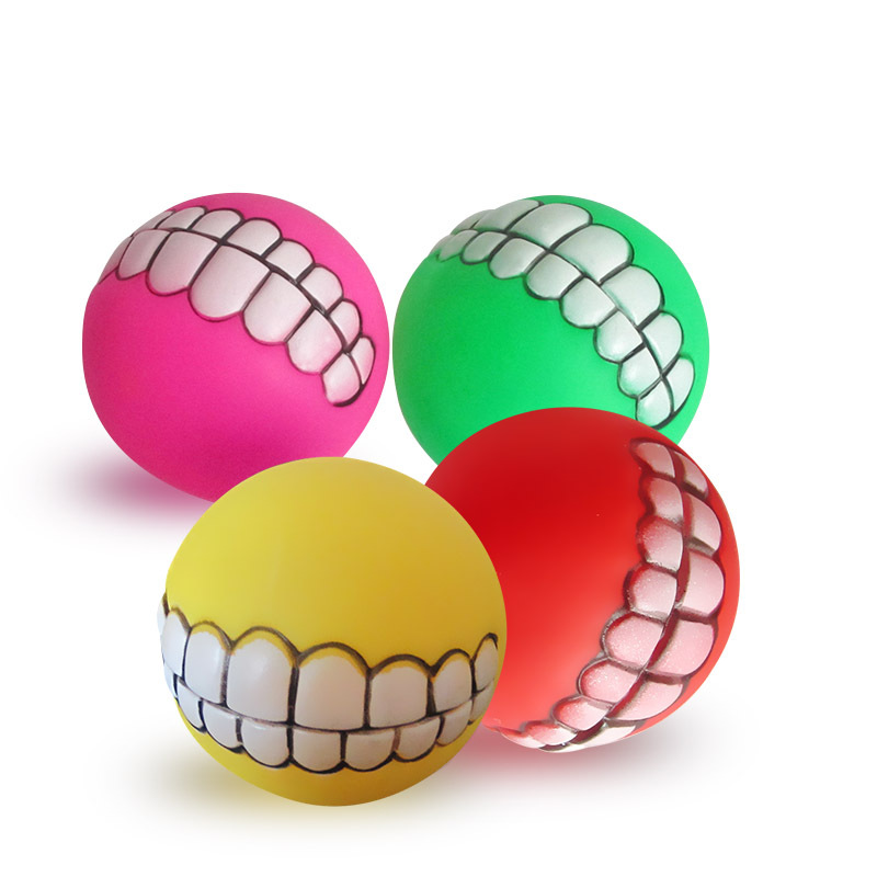 Pet Training Toy 1