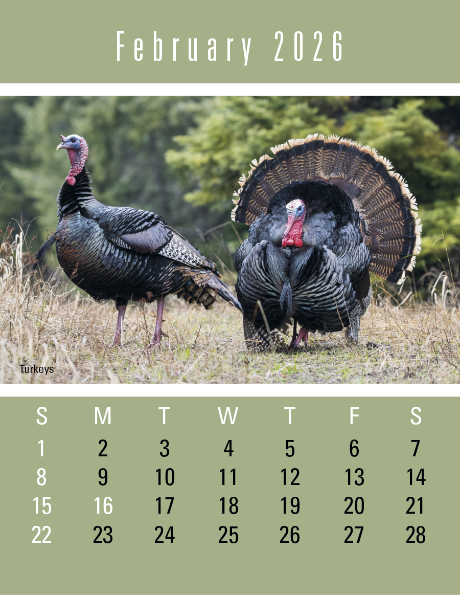 Press-N-Stick Sportsmen Calendar