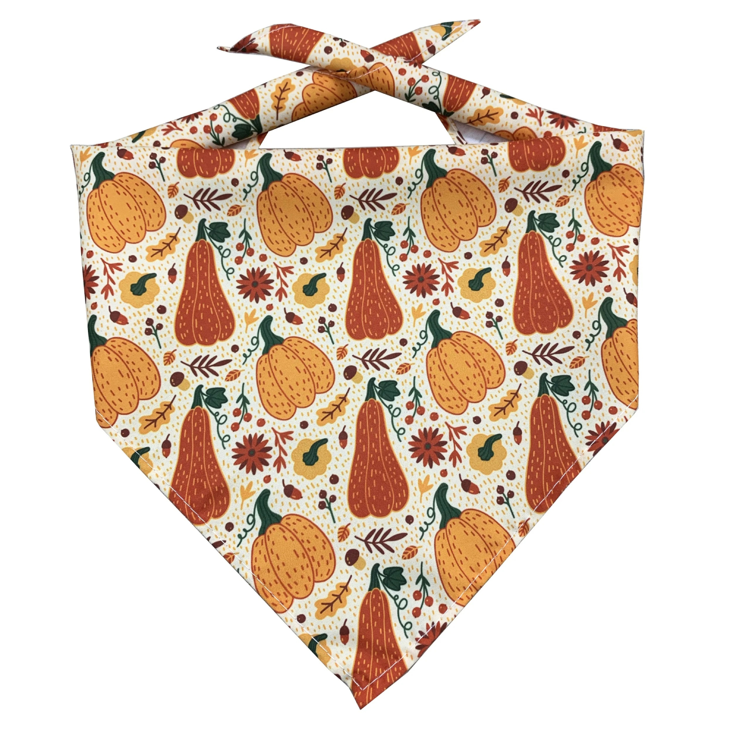 Triangle Hemmed Polyester Pet Bandana 3