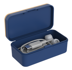 Earbuds In Case Type-C Earphone) 2