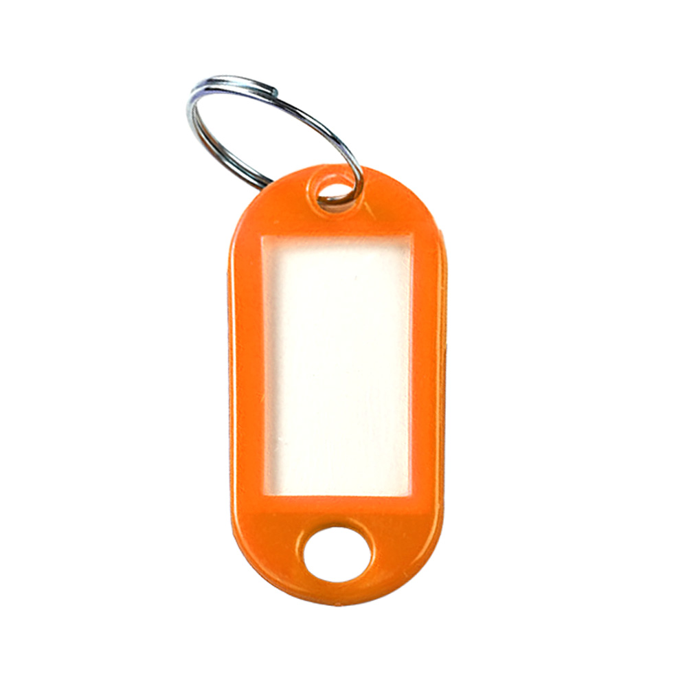 Plastic Key Tags With Label Window 12