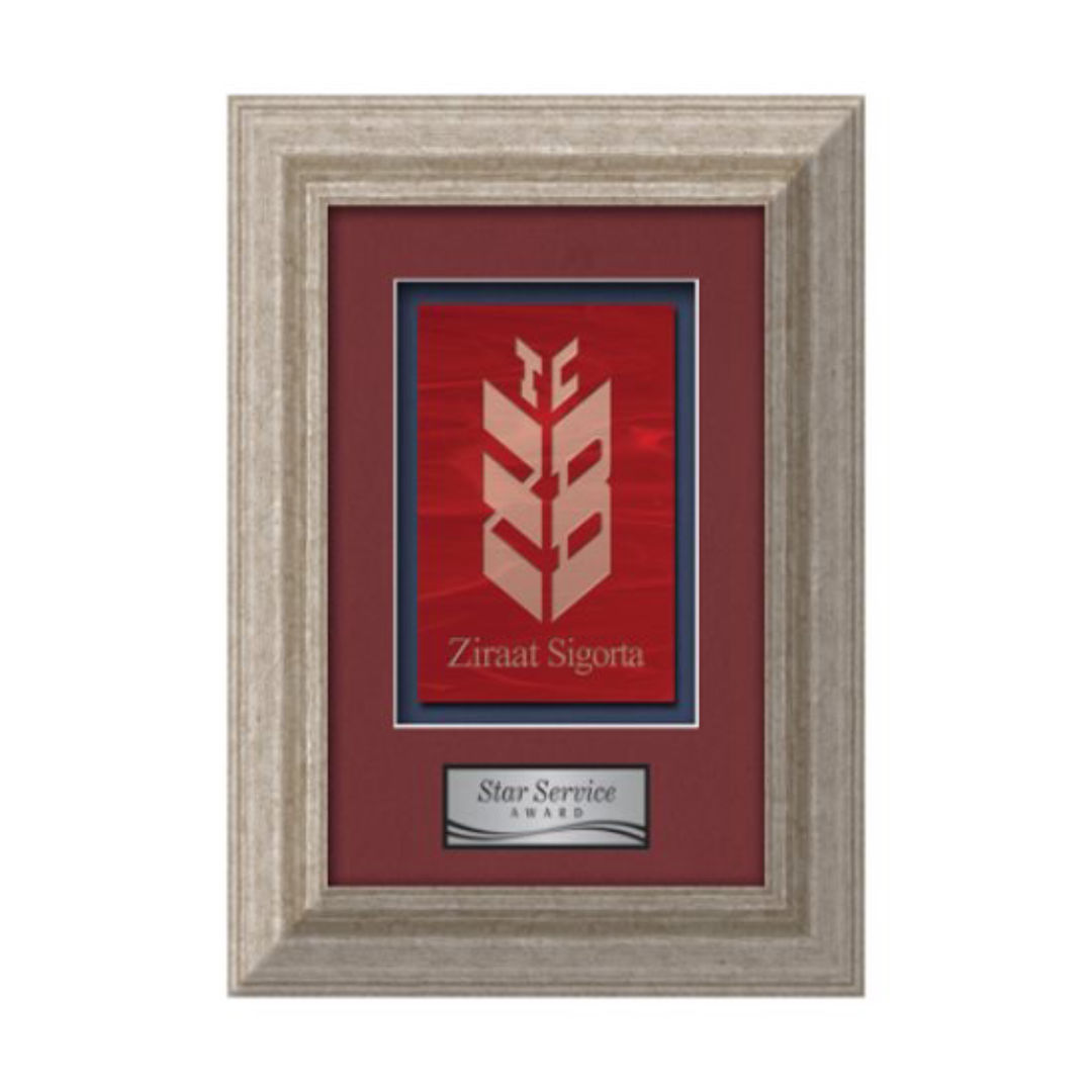 Terrene -  Antique Silver 6