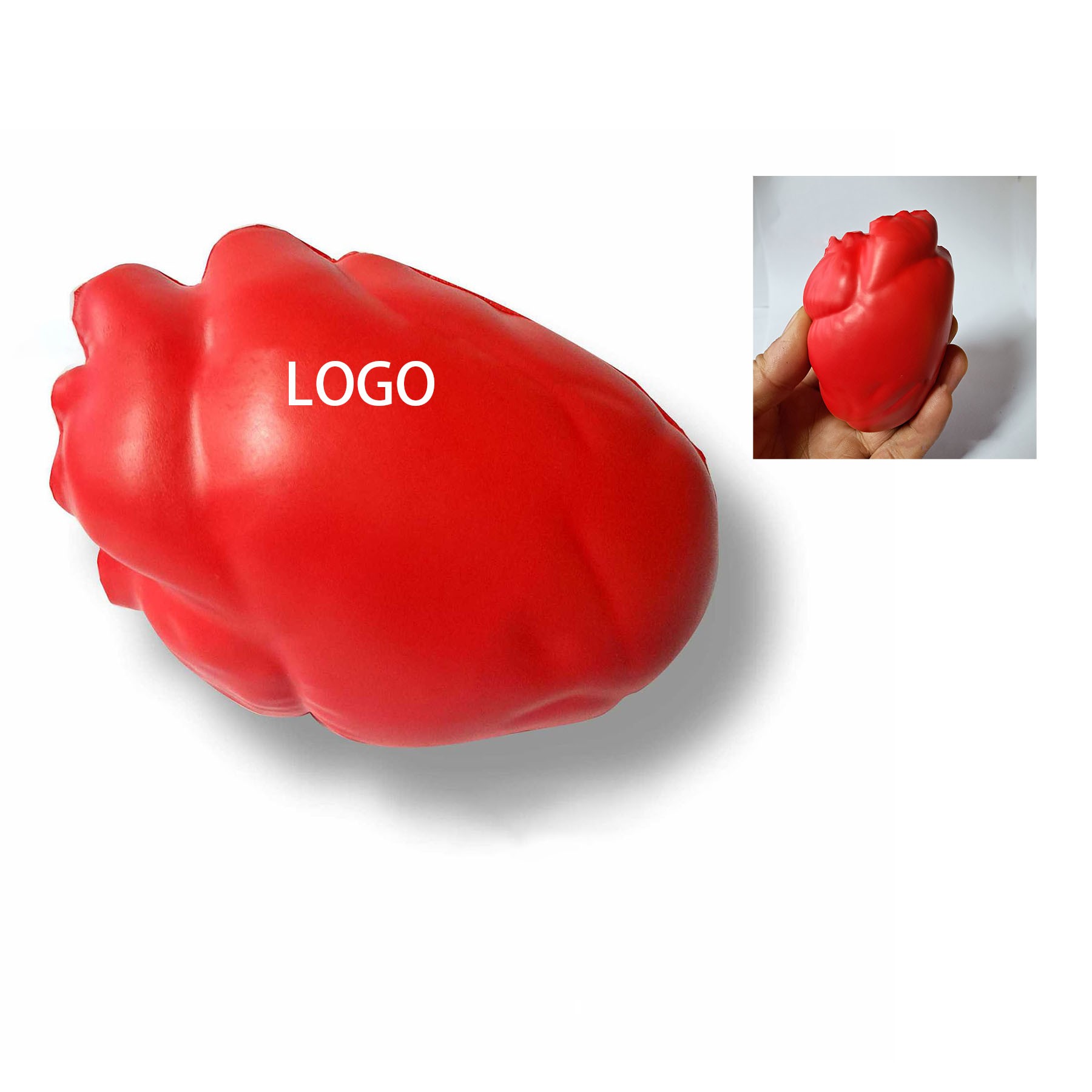 Healthcare Anatomy Stress Ball For Relief Stress