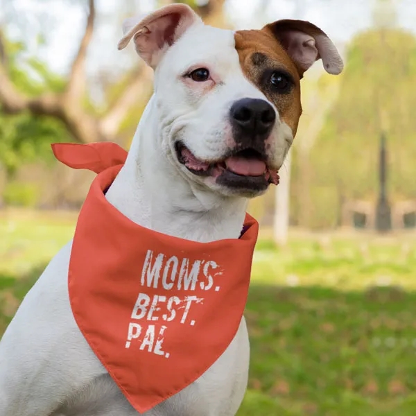 Pet Bandana Scarf 10