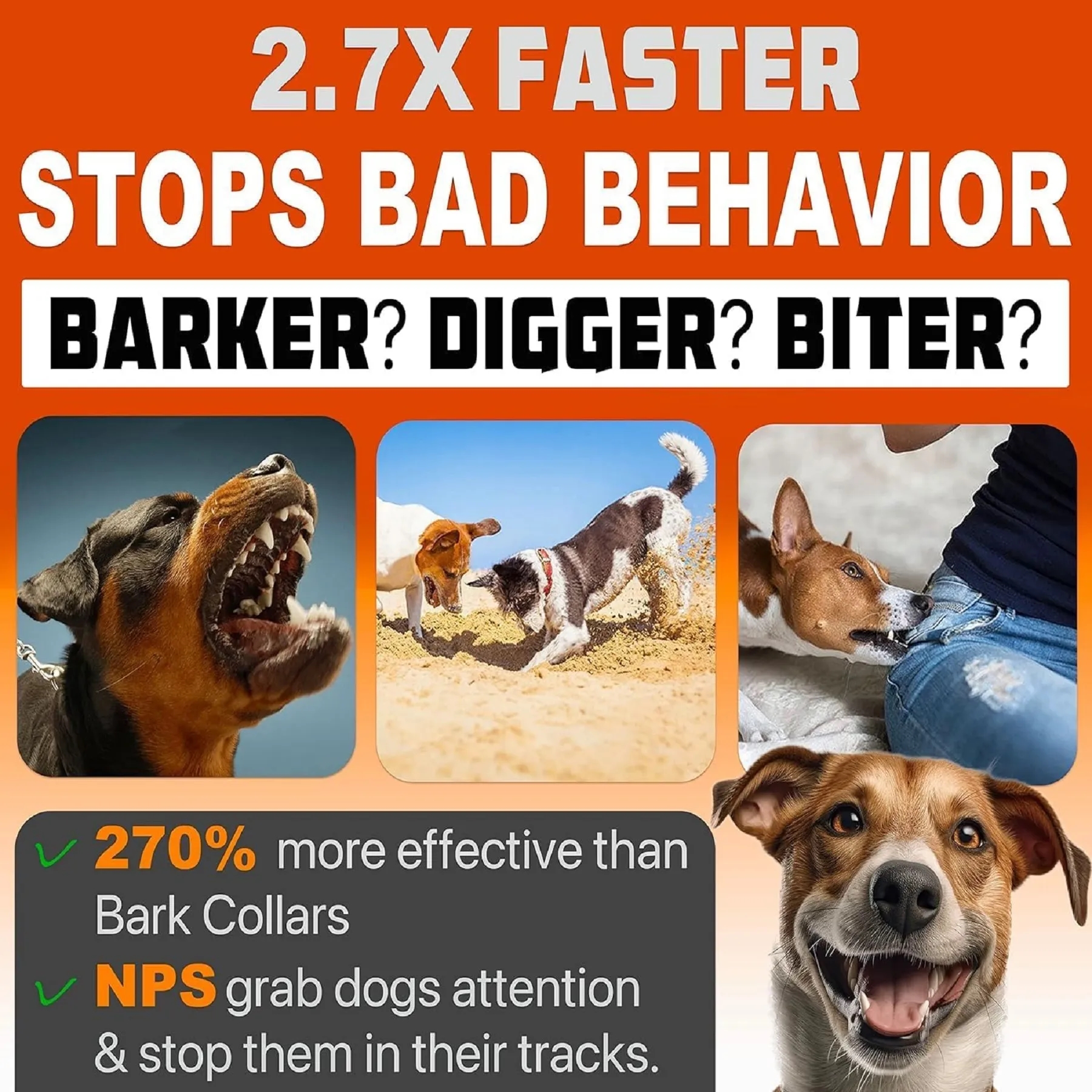 Dog Bark Deterrent Device 3