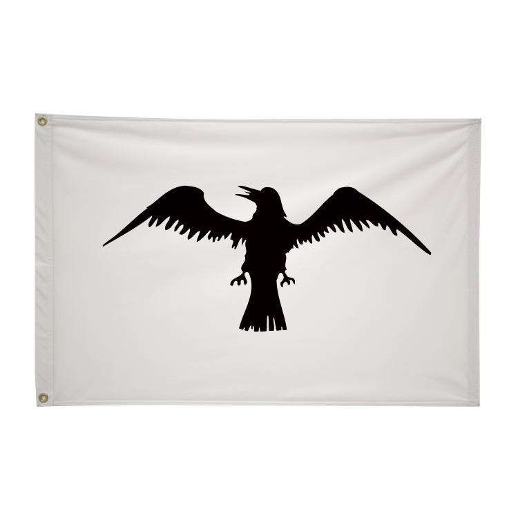 2' x 3' Historical Flags 39
