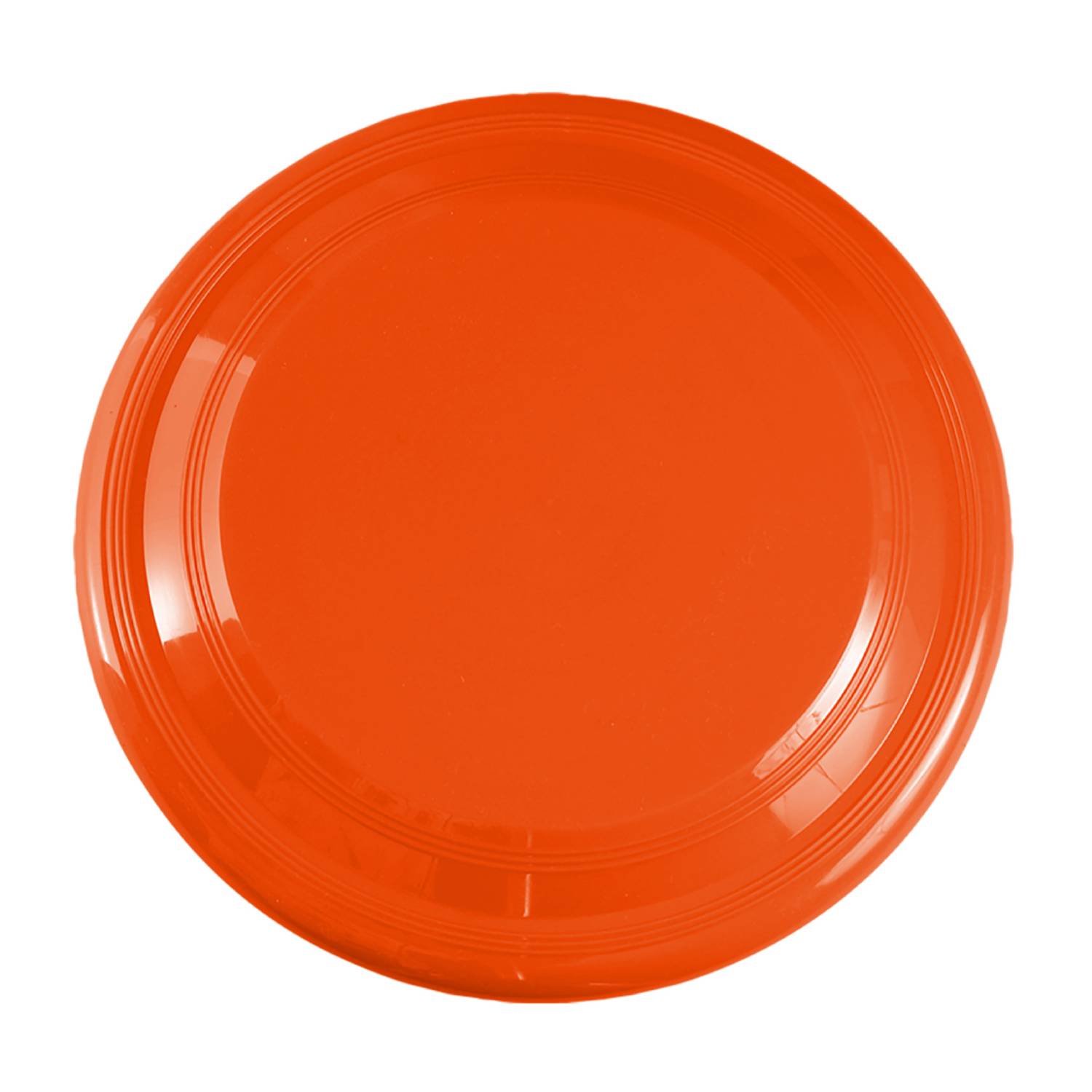 9 inch Flying Disc 19