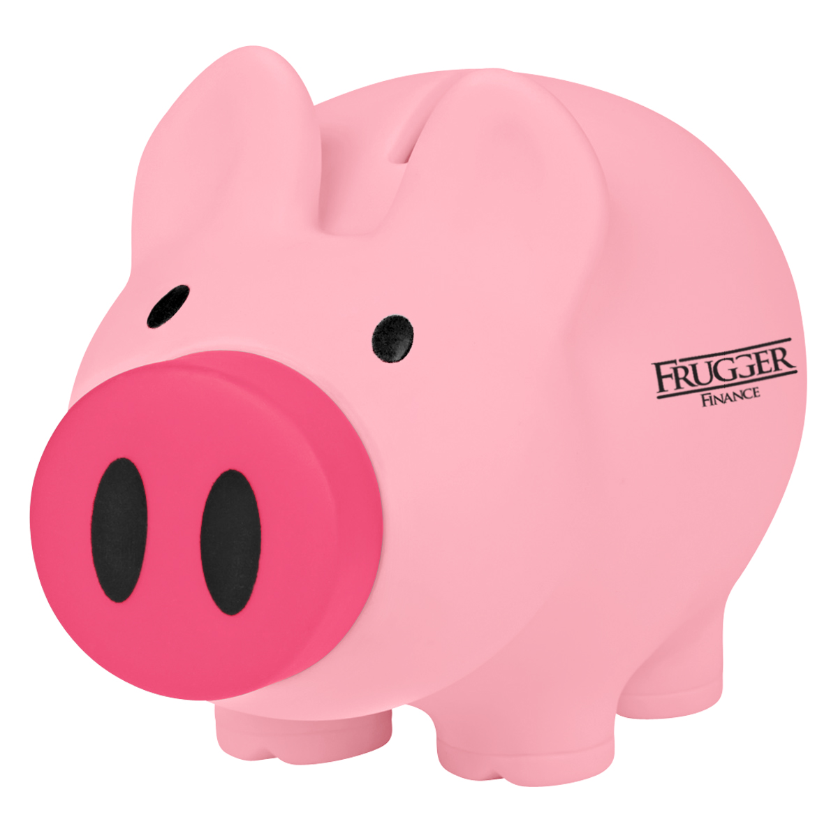 Payday Piggy Bank 4