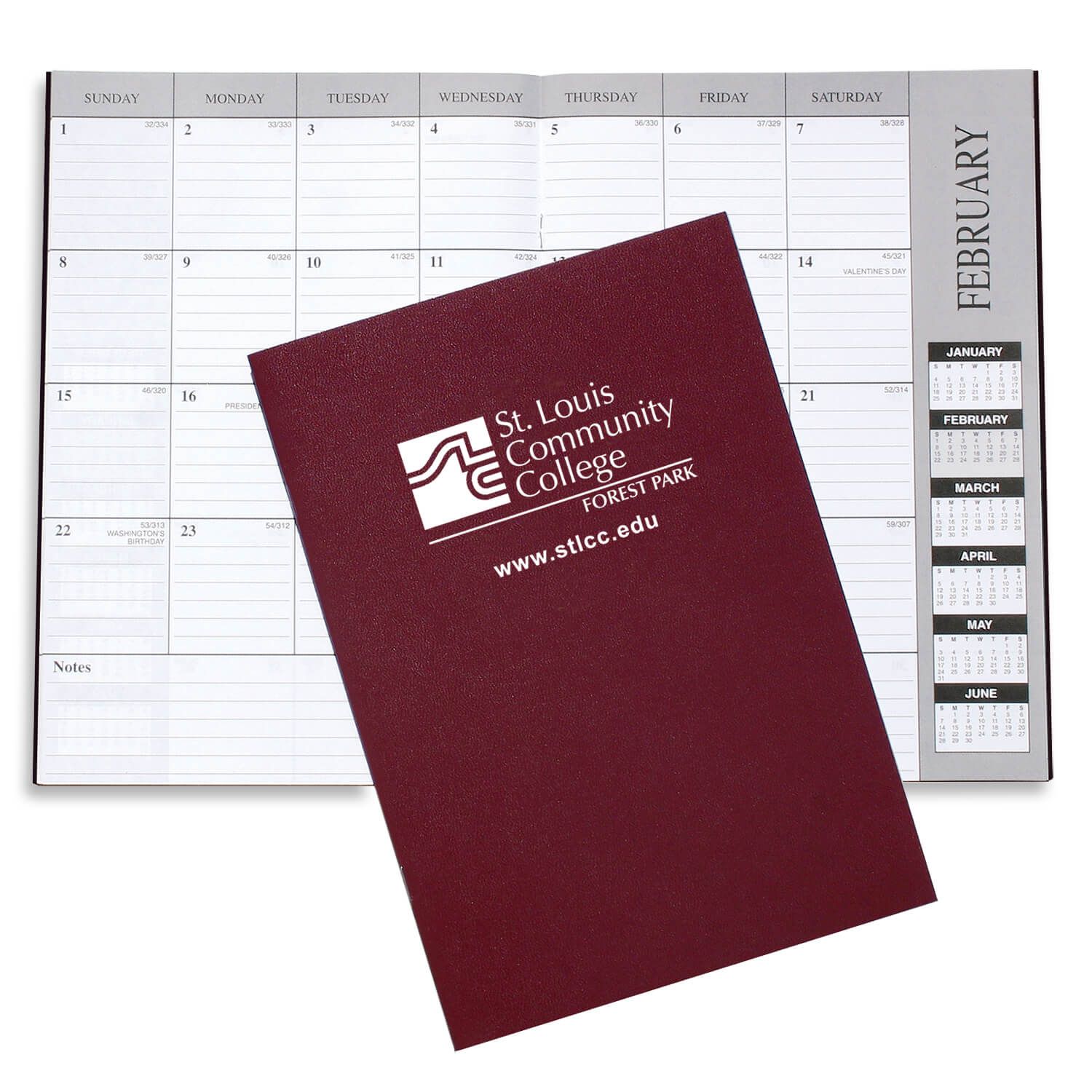 Academic Monthly Desk Planner - Leatherette 12