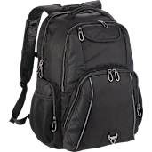 Rainier TSA 17" Computer Backpack 27