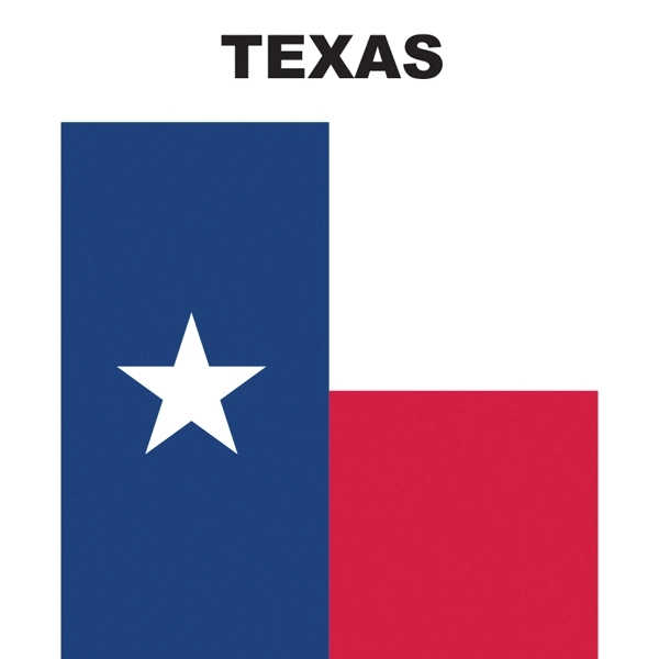 Mini Banner - Texas 2