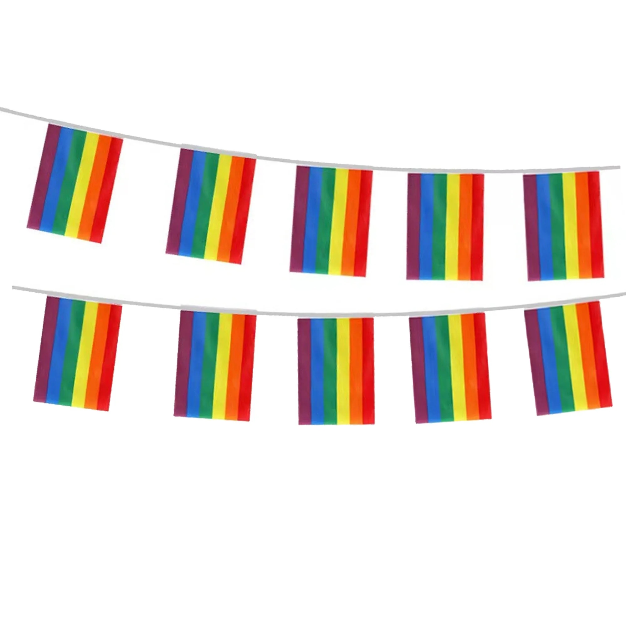 Progressive Pride LGBTQ Flags Banner 5