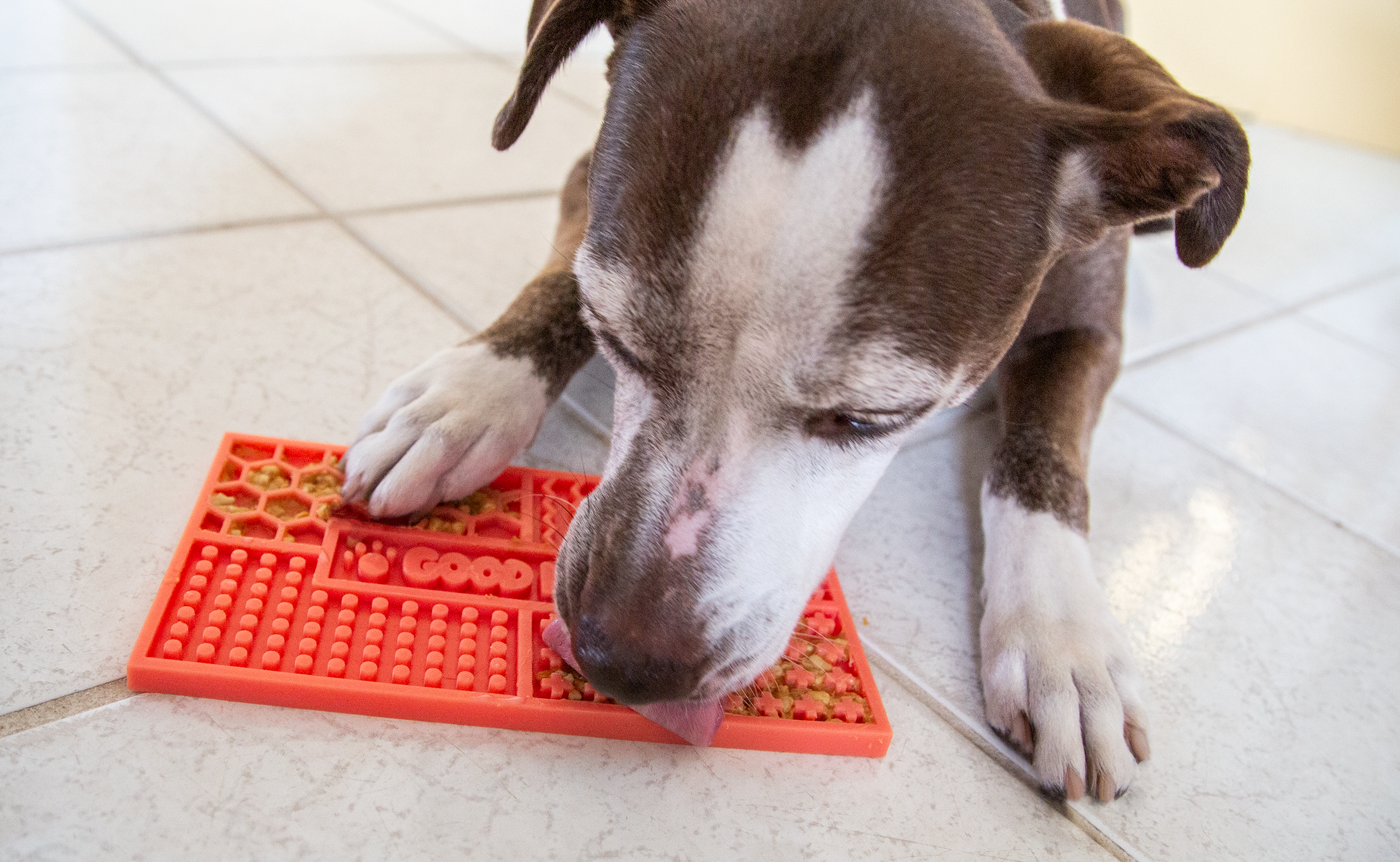Siligrams® Pet Lick Mats 8