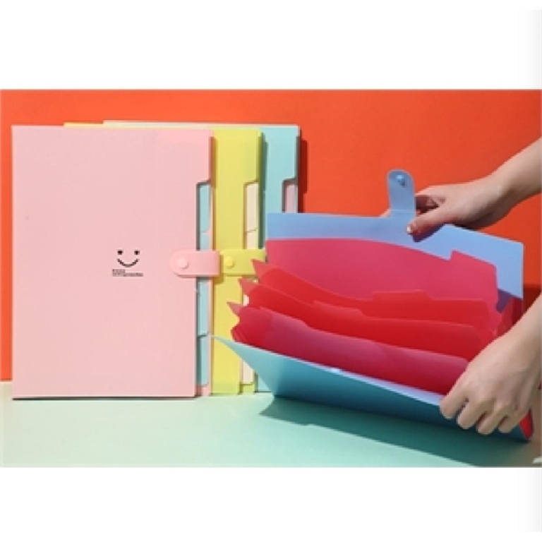 5-Pocket Colorful Drawer File folder 3