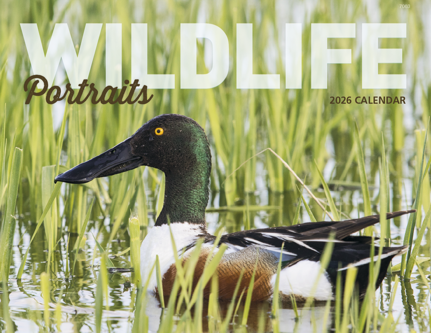 Good Value™ Wildlife Portraits - Window Calendar 1