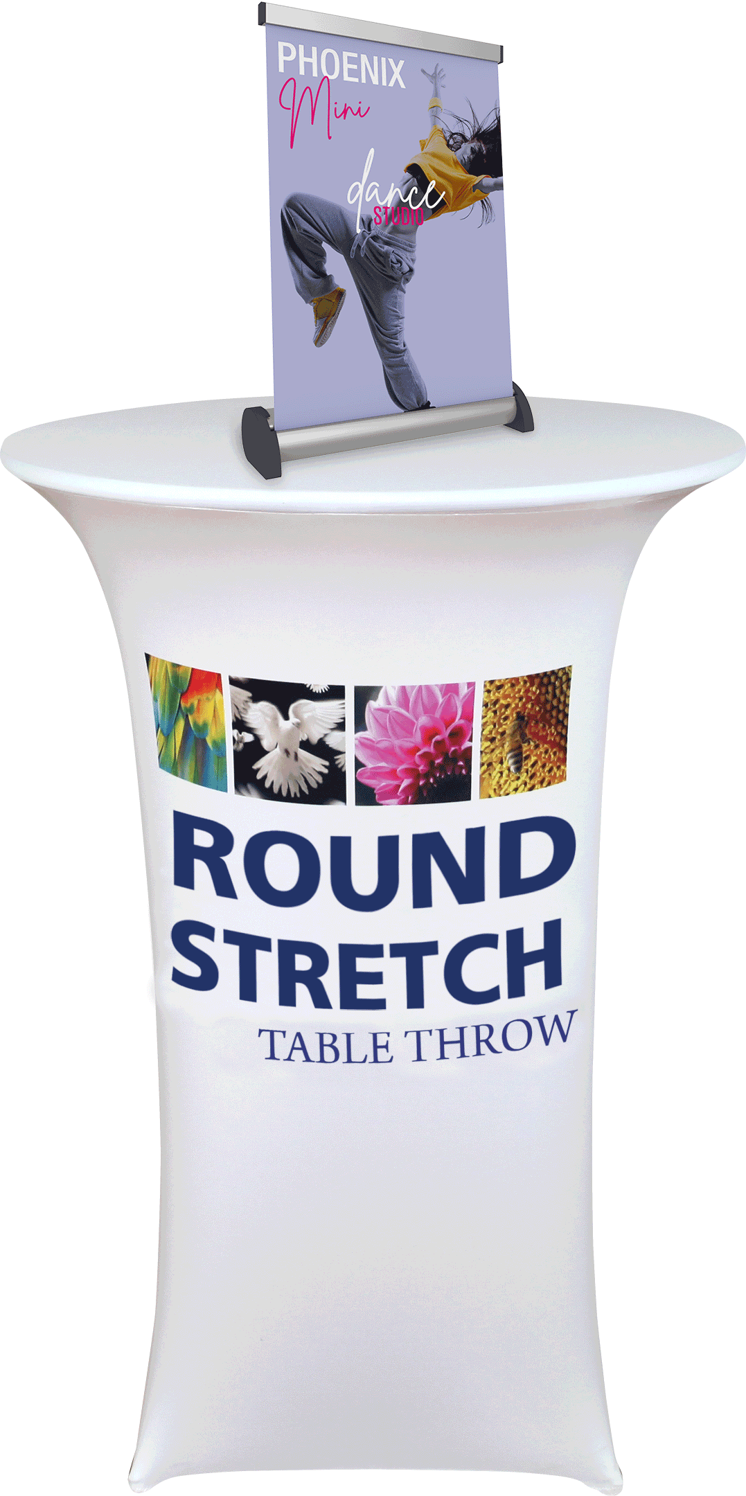 Phoenix Mini 1 Pole Silver Retractable Banner Stand