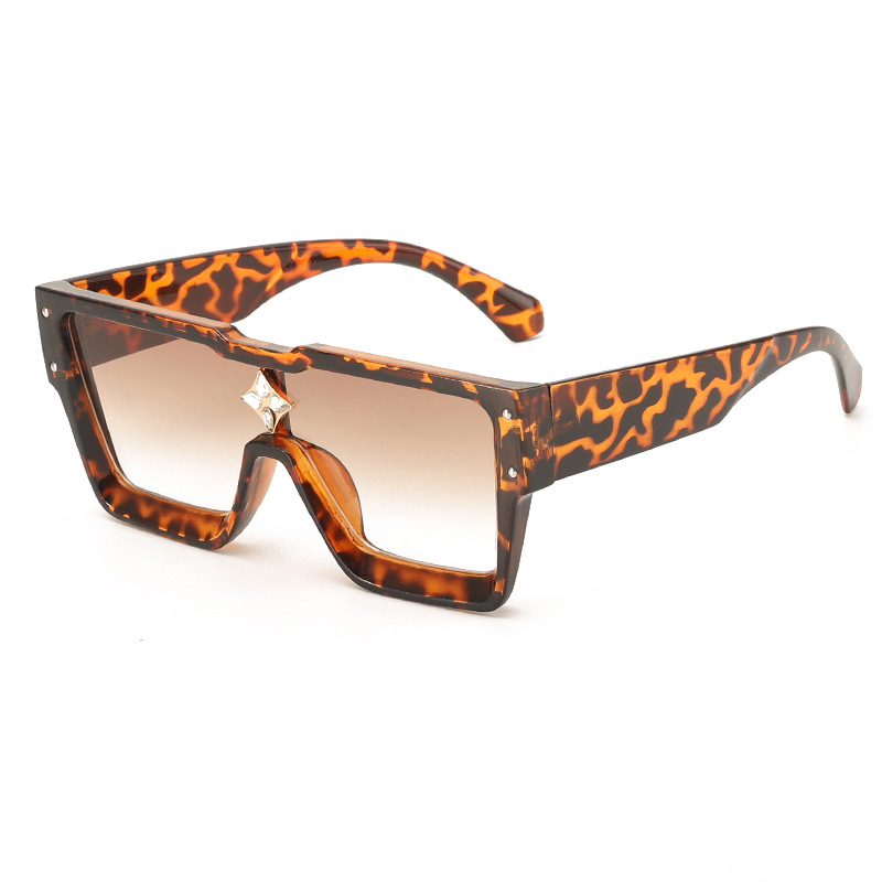 Polar Square Sunglasses 7
