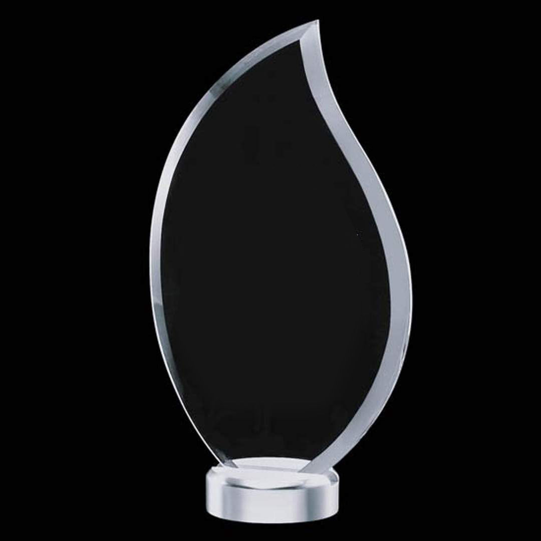 Bentworth Flame Award 9